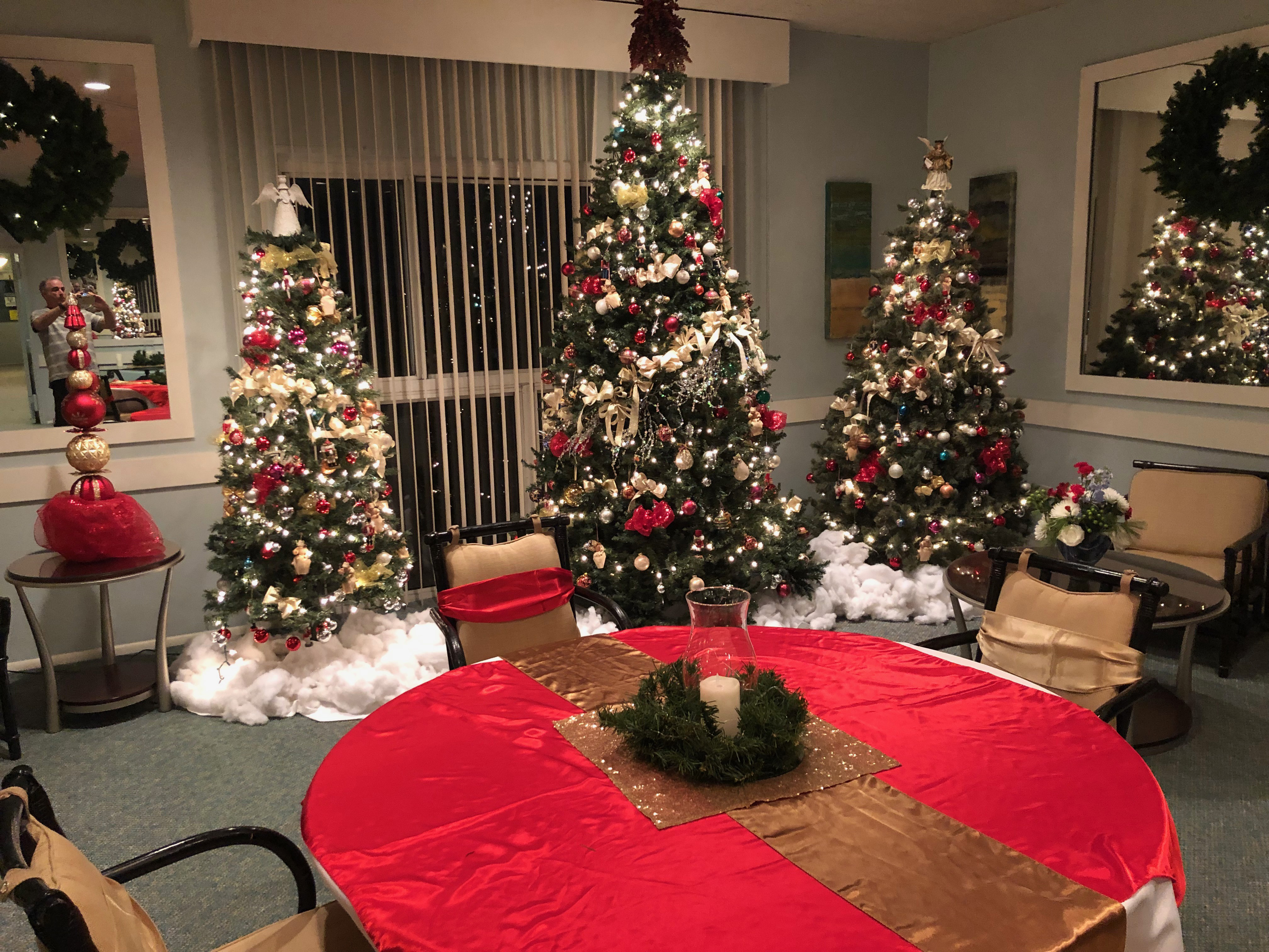 Penthouse_Christmas_2018_trees