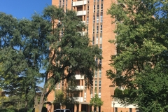 carillon_house_whole_building2