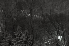 night_image_snow_2019